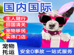 九江庐山航空快递国际宠物托运 【国